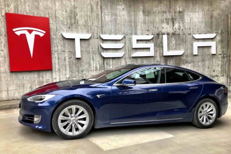 who owns tesla elon musk